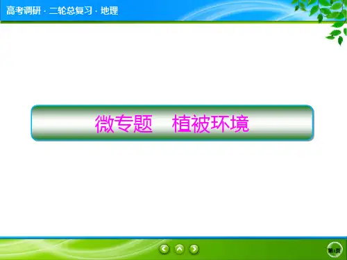 微专题—植被环境PPT