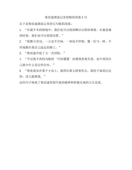 鲁滨逊漂流记里的精彩段落5句