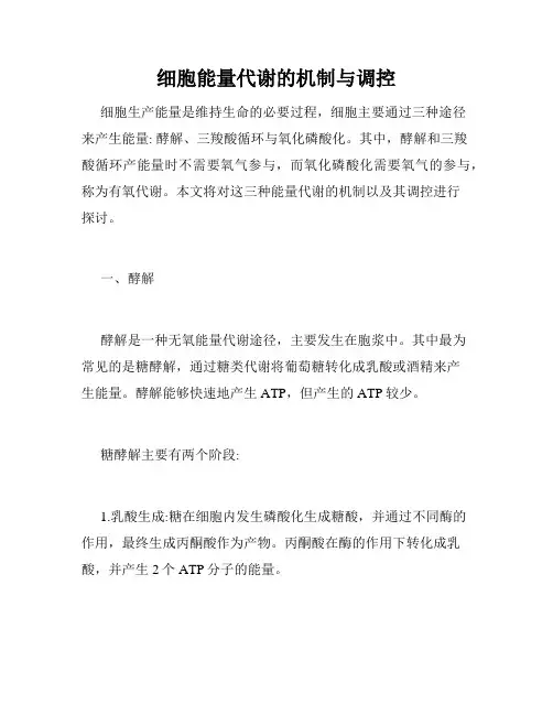 细胞能量代谢的机制与调控