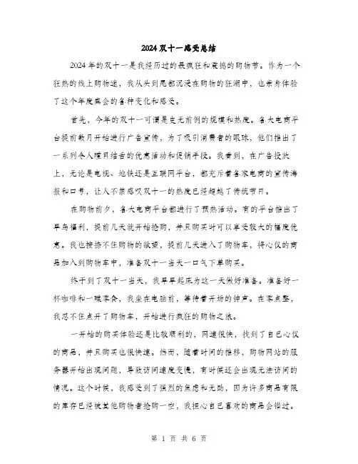 2024双十一感受总结(2篇)