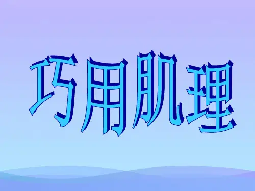 (优选)六年级美术上册巧用肌理 PPT精品课件4湘教版