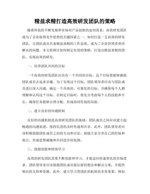 精益求精打造高效研发团队的策略