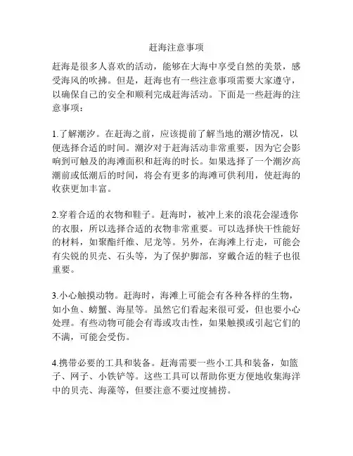 赶海注意事项