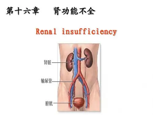 renal failure