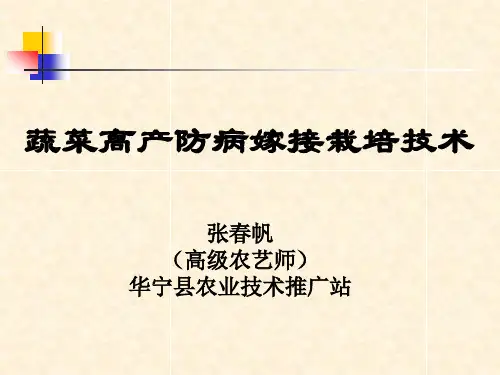 蔬菜高产防病嫁接栽培技术