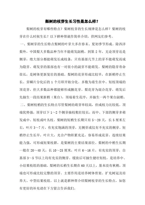 梨树的枝芽生长习性是怎么样？