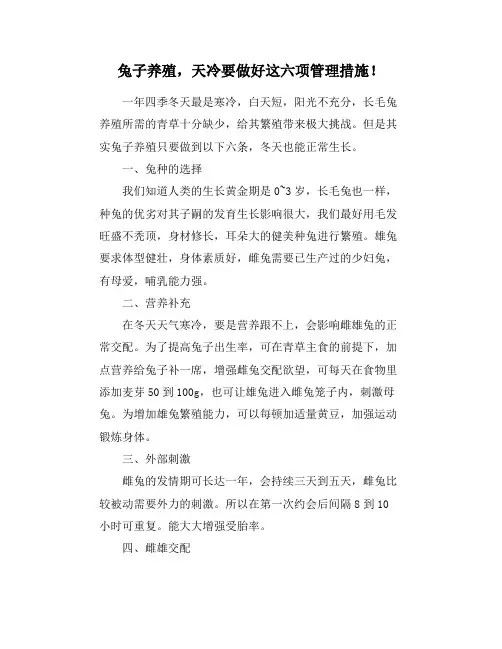 兔子养殖,天冷要做好这六项管理措施!
