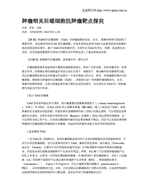 肿瘤相关巨噬细胞抗肿瘤靶点探究