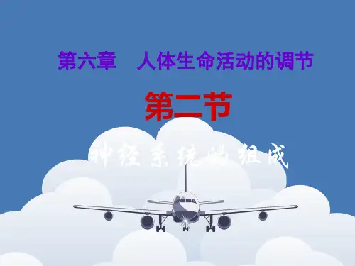 神经系统的组成ppt课件