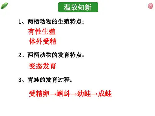 7.1.4 鸟的生殖和发育课件.  人教版生物八年级下册