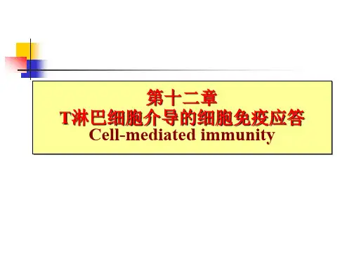 T细胞介导的细胞免疫应答课件