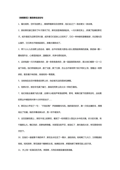青铜葵花第四章芦花鞋的读书经历心得与名词名言名句