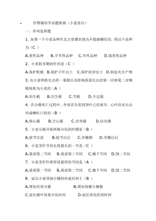 栽培学