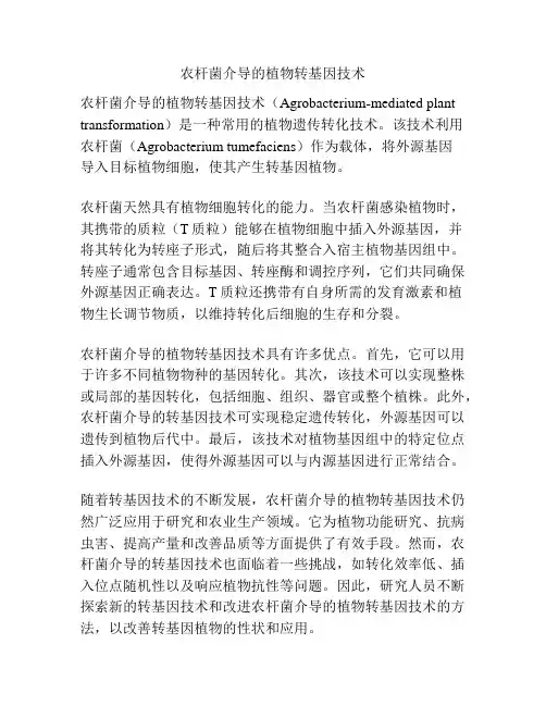 农杆菌介导的植物转基因技术