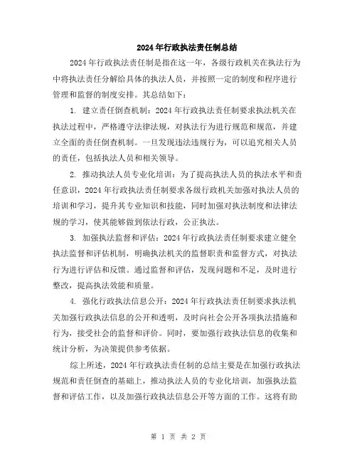 2024年行政执法责任制总结