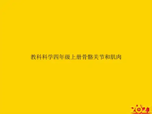 教科科学四级上册骨骼关节和肌肉ppt正式完整版