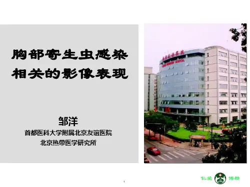 胸部寄生虫感染相关的影像表现-邹洋20171028