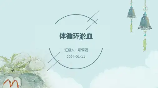 体循环淤血