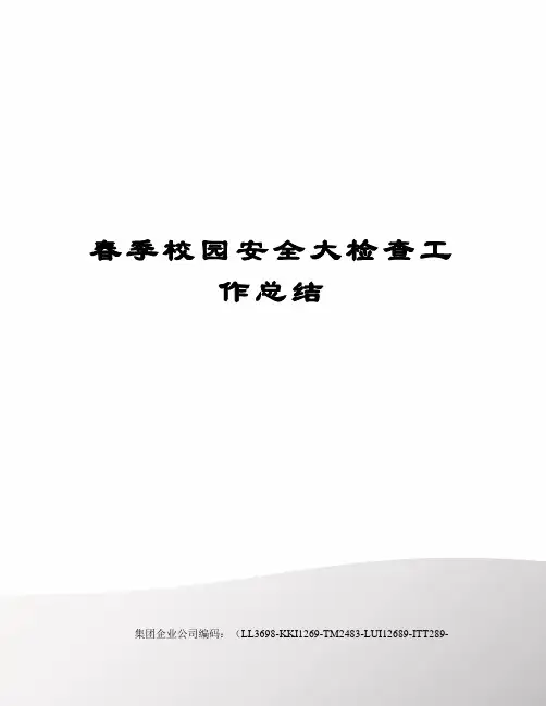春季校园安全大检查工作总结