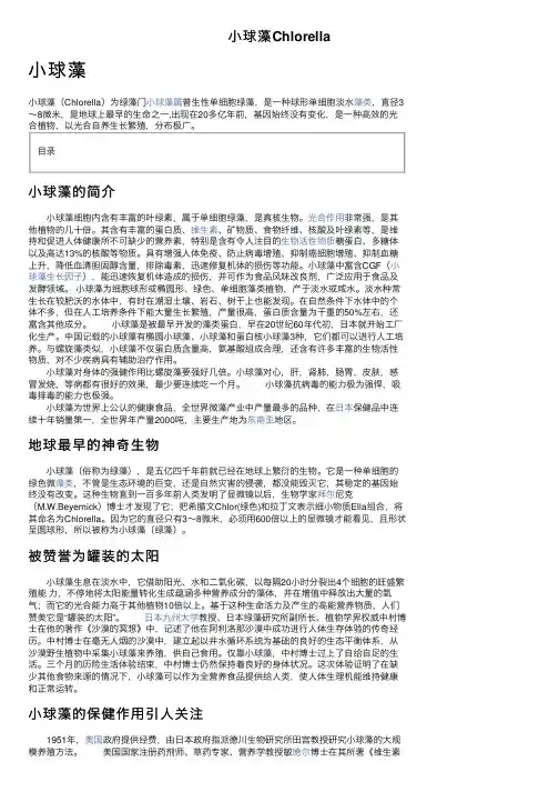 小球藻Chlorella