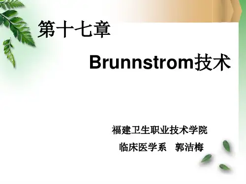 Brunnstrom技术