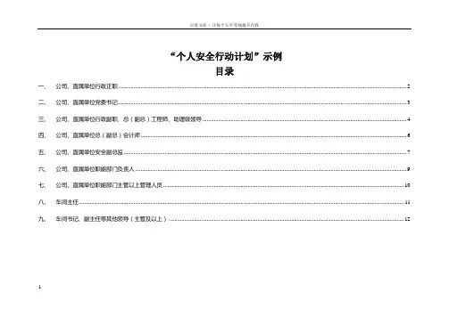 个人安全行动计划示例 2