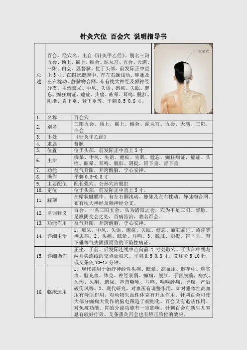 针灸穴位 百会穴 说明指导书