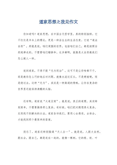 道家思想之我见作文