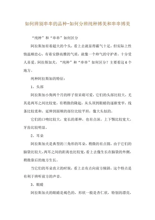 如何辨别串串的品种-如何分辨纯种博美和串串博美
