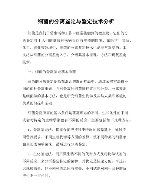 细菌的分离鉴定与鉴定技术分析