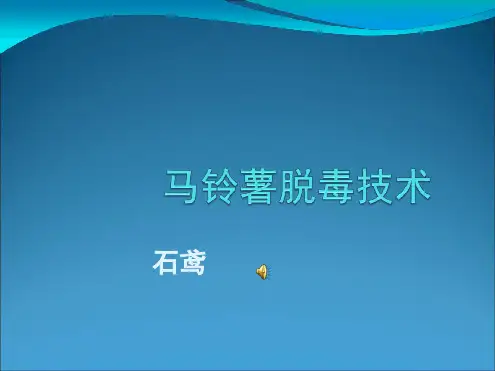 马铃薯脱毒技术