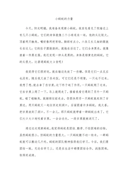 小蚂蚁的力量
