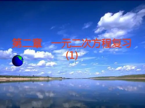 第二章_一元二次方程复习课(公开课)讲解