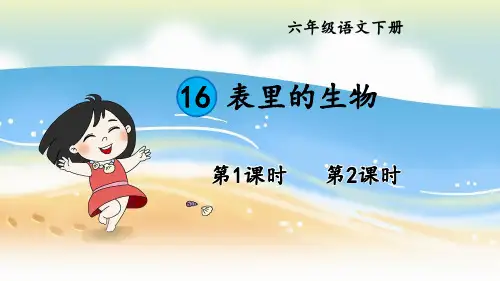 《表里的生物》PPT课件【精美版】