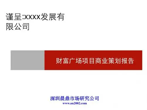 财富广场项目商业策划报告