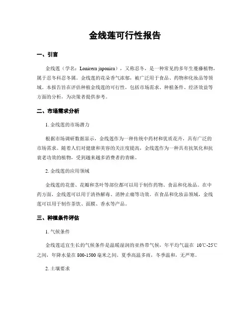 金线莲可行性报告