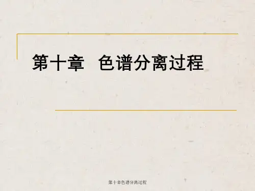 第十章色谱分离过程