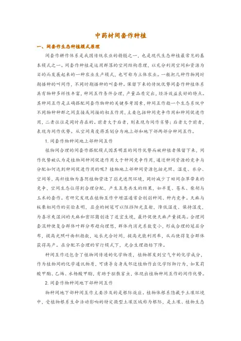 中药材间套作种植