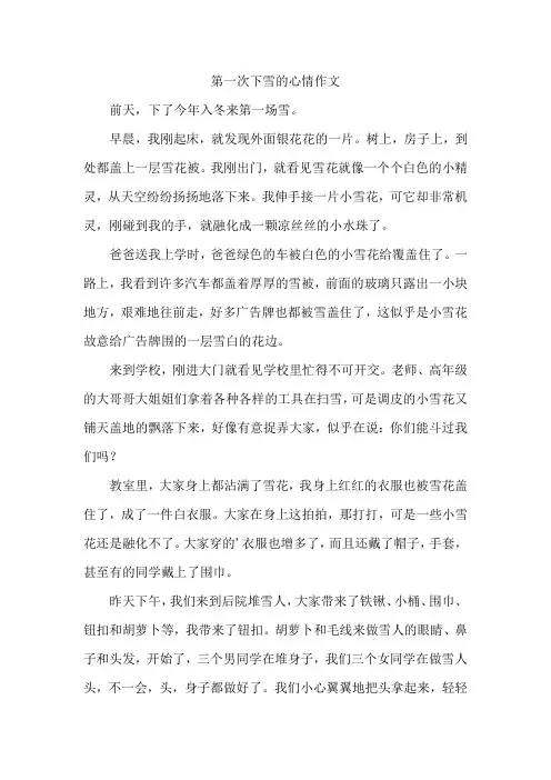 第一次下雪的心情作文