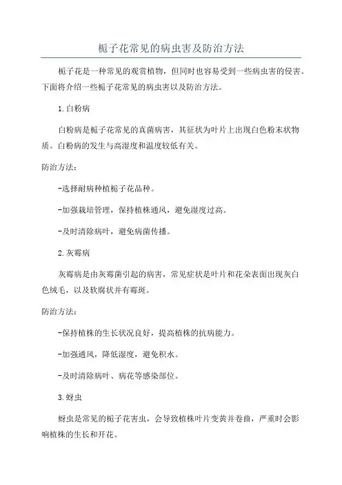 栀子花常见的病虫害及防治方法