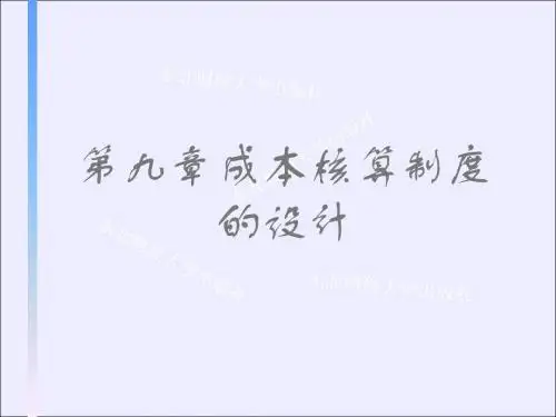 会计制度设计第九章