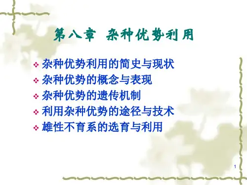 杂种优势优秀PPT