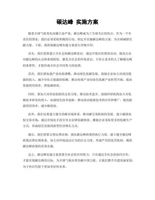 碳达峰 实施方案