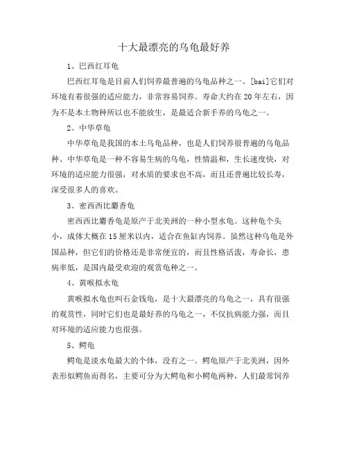 十大最漂亮的乌龟最好养