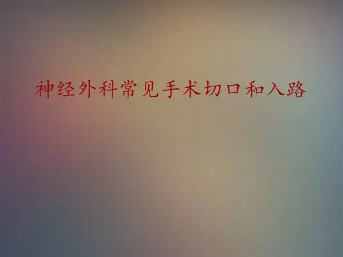 神经外科常见手术切口和入路PPT课件