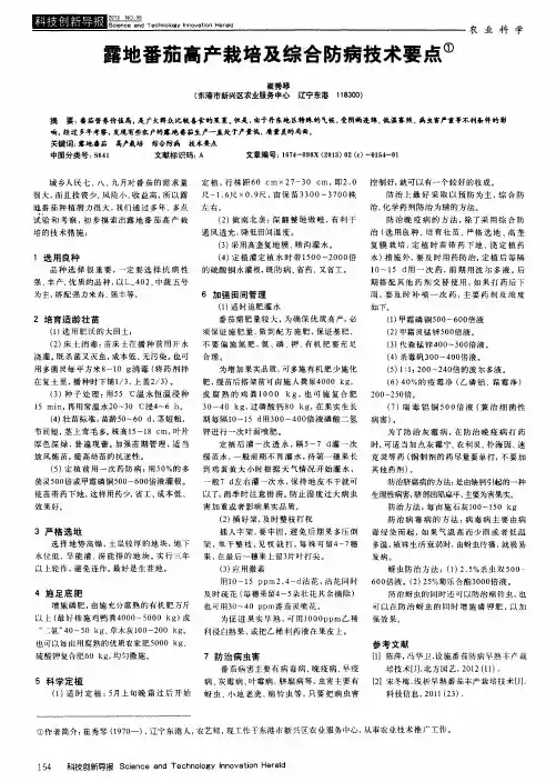 露地番茄高产栽培及综合防病技术要点