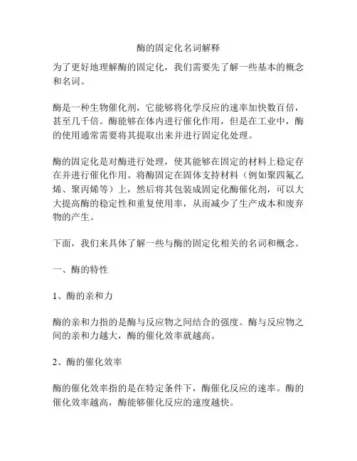 酶的固定化名词解释