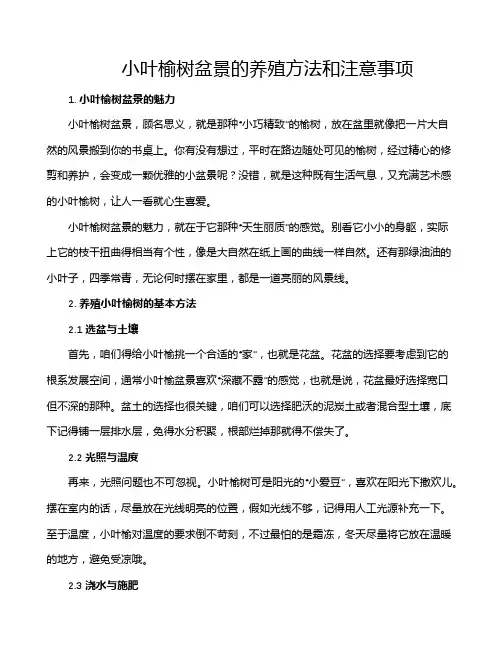 小叶榆树盆景的养殖方法和注意事项