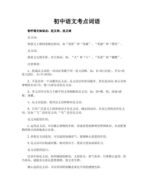 初中语文考点词语