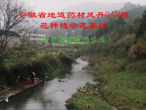 凤丹皮GAP规范化种植研究